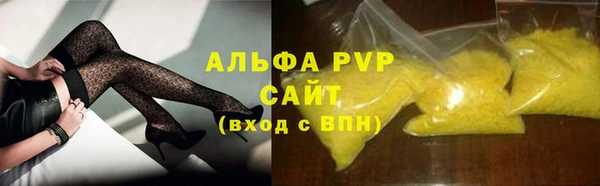 стафф Надым