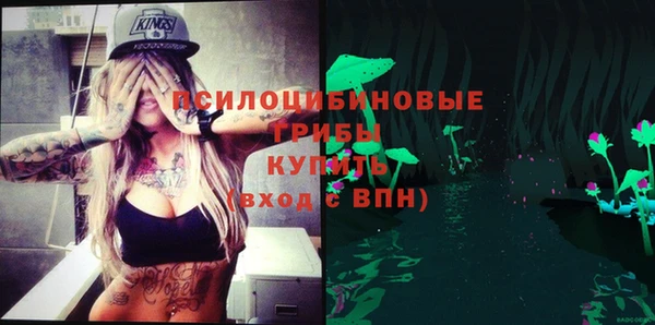 стафф Надым