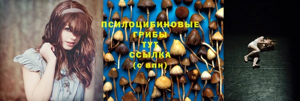 стаф Навашино