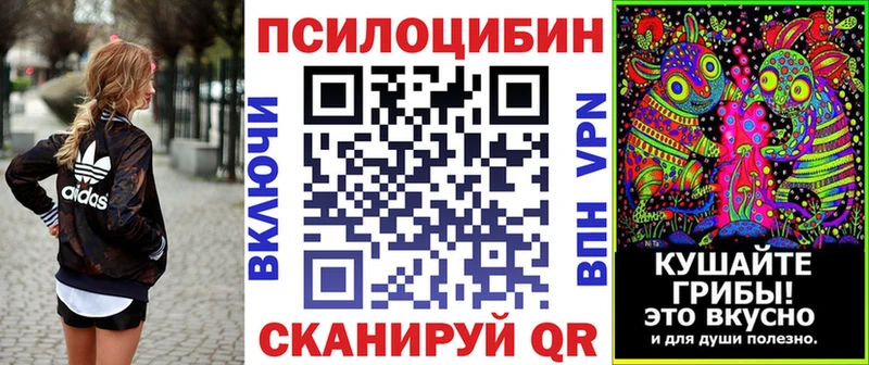 купить закладку  Тетюши  Галлюциногенные грибы Psilocybe 