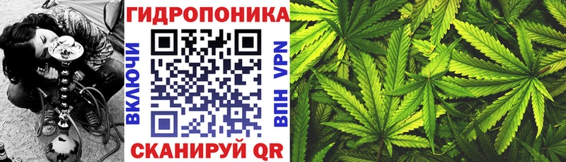 Шишки марихуана марихуана  Тетюши 